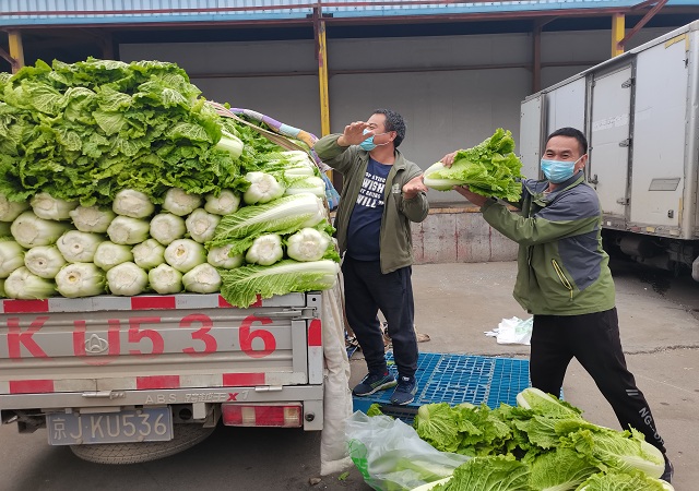 乐动注册加大“冬储菜”调运，全力做好保供稳价